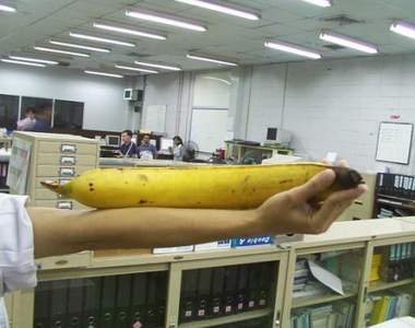 《把男性GG長度換成罩杯》原來你也是貧乳嘛(推肩)