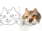爆紅遊戲《貓咪圖產生工具edges2cats》可愛與恐怖只在一線間…… 爆紅遊戲《貓咪圖產生工具edges2cats》可愛與恐怖只在一線間……