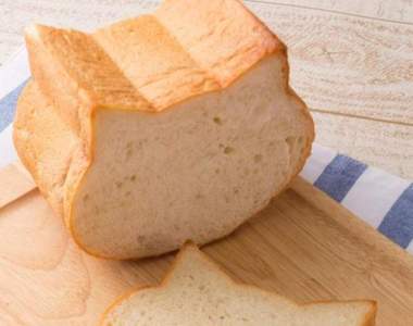 動物吐司旋風《貓咪吐司》登場～繼兔子吐司後的新萌吐司