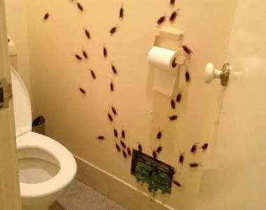 來互相傷害阿《萬聖節就是要惡作劇要不然要幹嘛》被整的人表示你準備過明年的清明節吧哼哼