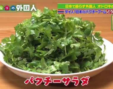 泰國人吐槽《日本人吃一堆香菜是不是有毛病》配角永遠不能當主角……