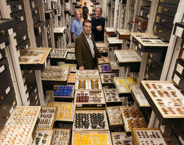 世界最大《史密森尼學會博物館收藏》這些是人類智慧的展示