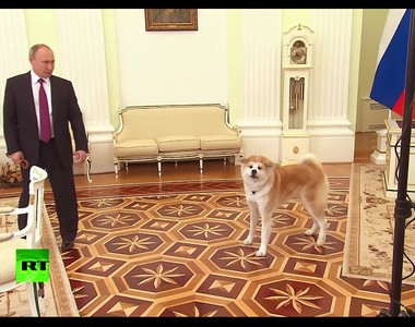 《普丁帶狗見外賓》可是外賓快被嚇死了...