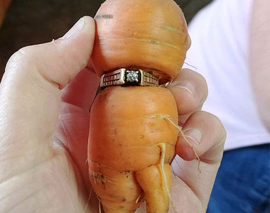 《各種神奇的失而復得》弄丟戒指的話總之先挖挖看家裡種的蘿蔔吧