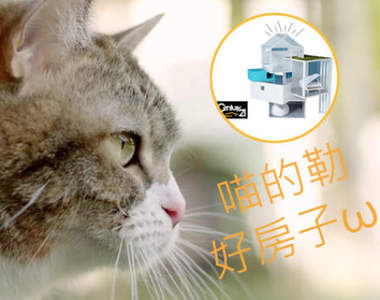 《喵的勒超好房》超療癒的日本21世紀不動產廣告