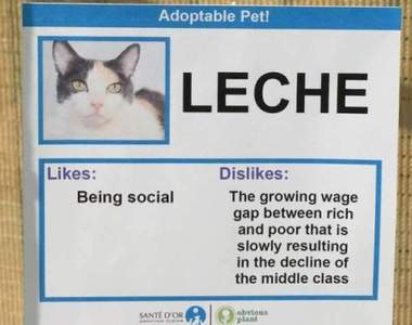 有笑有推《網友幫浪貓做個人資料表》請問能幫設穩定交往中嘛ΦωΦ