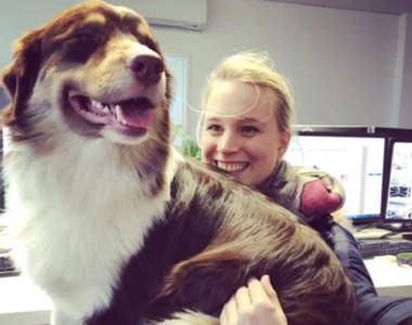 《帶狗狗到職場工作》有心愛的寵物一起上班就不苦悶了～