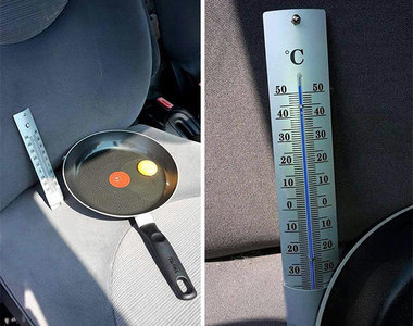 《炎熱車內的煎蛋實驗》千萬不要把寵物留在炎熱的車子內...
