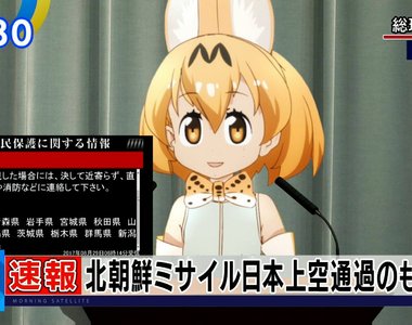 北韓一直射也擋不住《動物朋友和日本的社畜們》宅宅和上班族的意志超堅定……