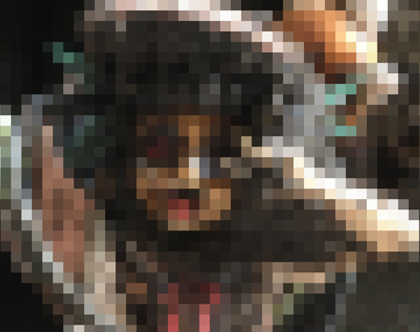 驚悚圖片《釣魚釣到八九寺真宵公仔》上面肯定有前人的怨念……