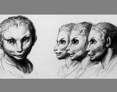 《如果人類從貓演化來》那我們會用貓語溝通嗎？