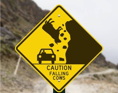 《奇妙道路標誌》小心突然有牛從天而降!?