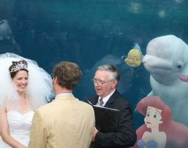 絕萌《誤闖婚禮的白鯨PS大戰》不管怎麼戰白鯨都是大贏家