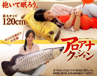 超真實《龍魚抱枕》打開房門就能聞到魚腥味的魚市風格（？）