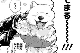 汪汪新連載《一室之犬》與薩摩耶犬的三坪房間同居日常 汪汪新連載《一室之犬》與薩摩耶犬的三坪房間同居日常
