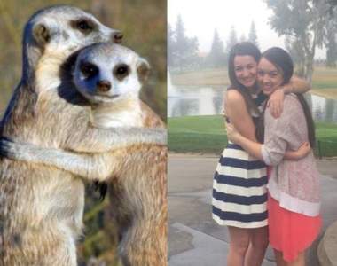 《女生vs狐獴》原來兩者的拍照習性(?)如此相似啊www