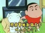 因為《男友把寵物名稱取成一堆調味料》而解除婚約 覺得人生好難... 因為《男友把寵物名稱取成一堆調味料》而解除婚約 覺得人生好難...