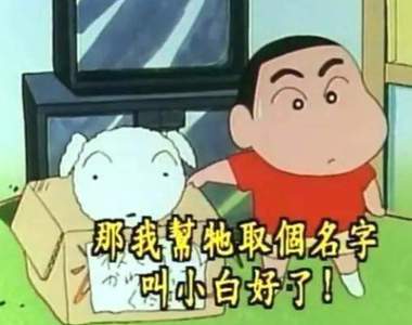 因為《男友把寵物名稱取成一堆調味料》而解除婚約 覺得人生好難...
