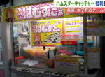 日本出現《夾倉鼠機》夾娃娃機的活體景品問題大炎上 日本出現《夾倉鼠機》夾娃娃機的活體景品問題大炎上