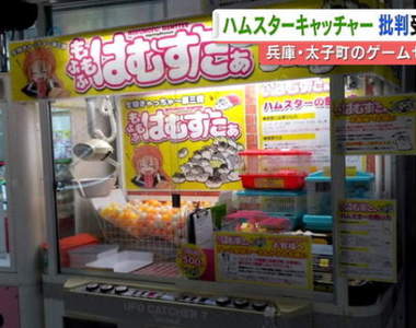 日本出現《夾倉鼠機》夾娃娃機的活體景品問題大炎上