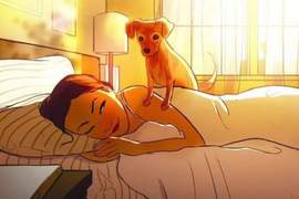 女孩與狗的日子《獨居女子生活隨畫》原來一個人住...這麼爽阿