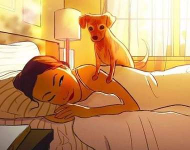 女孩與狗的日子《獨居女子生活隨畫》原來一個人住...這麼爽阿