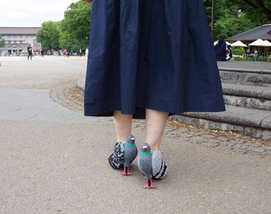 《鴿子高跟鞋》穿著這鞋子就能跟公園的鴿子混熟嗎?