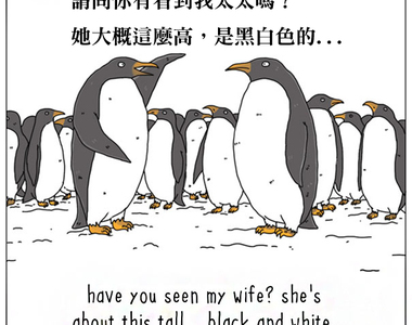 《如果動物會說話》趴兔　原來牠們都這麼想啊...