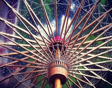 推特話題《透明和傘》竹製傘骨搭配透明塑料依然風雅