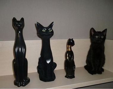 《我們當中有個叛徒》睜大眼睛找找看哪裡不一樣(笑)