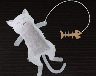 《貓咪茶包》悠閒的午睡模樣就這樣漂浮在茶杯中❤