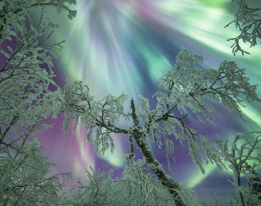 《仙境芬蘭的美景攝影》一年有200個夜晚看得到極光✧