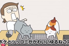 超萌治癒喵動畫《mameneko》兩隻貓加一隻自以為是貓的柴犬 超萌治癒喵動畫《mameneko》兩隻貓加一隻自以為是貓的柴犬