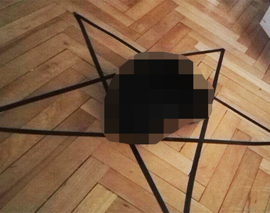 男子實驗《貓咪傳送裝置》無效 竟意外發現貓咪的駭人真面目...!?