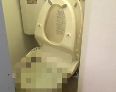 注意《貓砂沖馬桶的結果》樓下居民壯烈的通馬桶實錄引發推特瘋傳