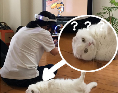 這是未來嗎?《貓咪收集 VR》喵星人:臭貓奴,不理我給我去玩虛擬的...