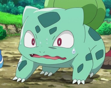 生活雜物變身《等身大妙蛙種子》真期待成品是什麼模樣呀……