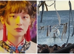 《女主唱超嗨鑽透明球與粉絲互動》竟然一路滾進海裡,飄向遠方... 《女主唱超嗨鑽透明球與粉絲互動》竟然一路滾進海裡,飄向遠方...
