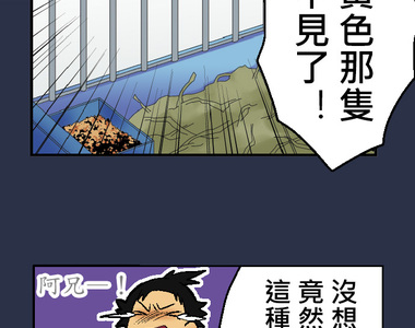 小鸚鵡飼養日記 第1話