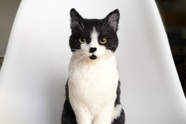 你看過這隻貓嗎？栩栩如生的貓咪竟是《羊毛氈達人DEKO》的作品