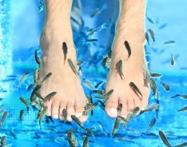 到底有多臭辣《中國男子十年沒洗腳讓吃腳皮魚滅亡》已經是個都市傳說了