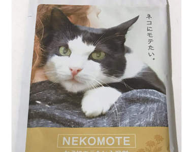 《受貓歡迎的入浴劑》只是泡個澡就能讓貓為你身上的氣味而瘋狂...