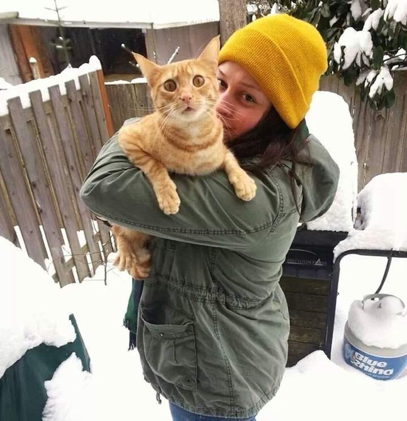 百看不膩 雪地裡的貓 對於初次見雪的貓咪來說彷彿看到新世界w