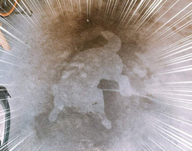 地上出現《犬拓》完全案發現場的印記　狗狗牠到底發生了什麼事！？