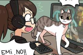 ㄧ貓一男友《日裔德籍漫畫家的日常》最強閃光彈跟貓奴的組合好羨慕