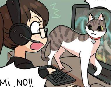 ㄧ貓一男友《日裔德籍漫畫家的日常》最強閃光彈跟貓奴的組合好羨慕