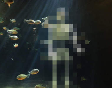 日本《水族館飼育員失蹤事件》最後竟然在食人魚水槽中被發現...(⊙_⊙)