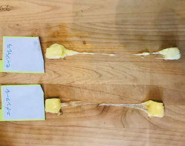 日本小朋友《暑假的自由研究》大人們未必能想到的創意研究主題