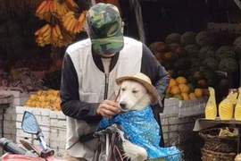 市場中超暖心畫面《主人幫狗狗擋雨三步驟》我...才沒有哭♥