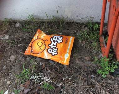 【慎入文】在路邊看到一包《餅乾袋》 韓國發生恐怖虐貓事件